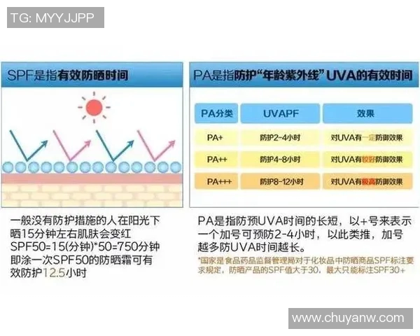 探索pa和pavs的选择对决与应用场景分析 探索pa和pavs的选择对决与应用场景分析