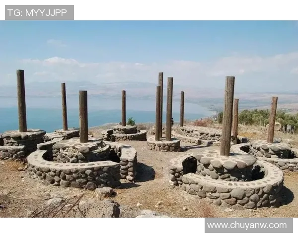 阿克西沙与标准日的精彩对决分析与战术探讨