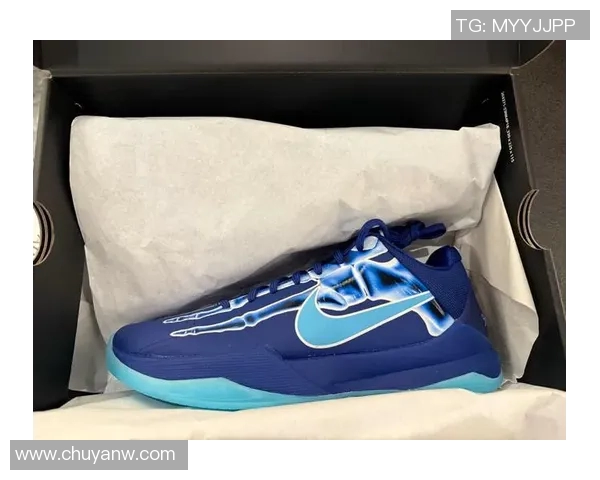 耐克篮球明星的传奇之路与他们的荣耀时刻回顾