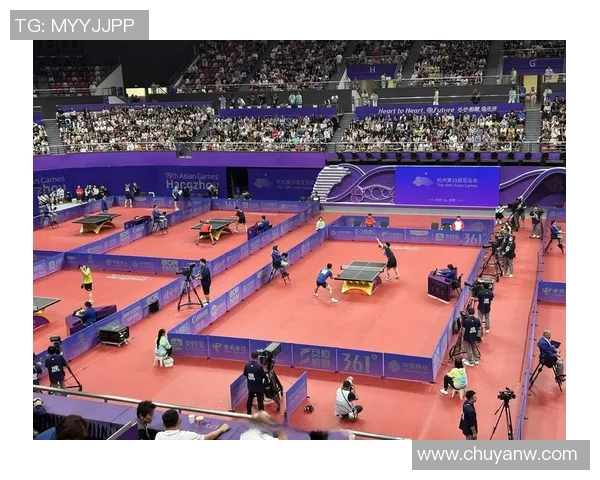 杭州乒乓球队实力深度剖析与对比探讨全景呈现